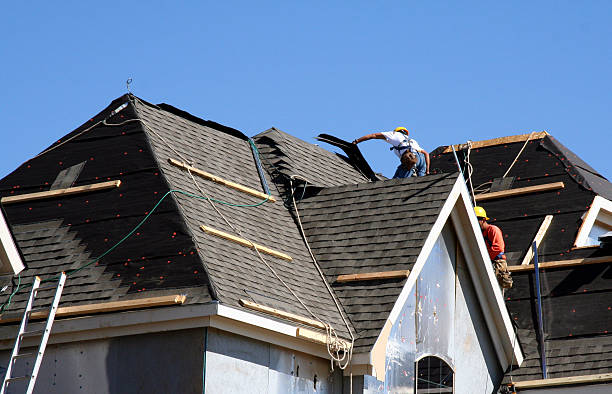 Best Storm Damage Roof Repair  in Medina, NY
